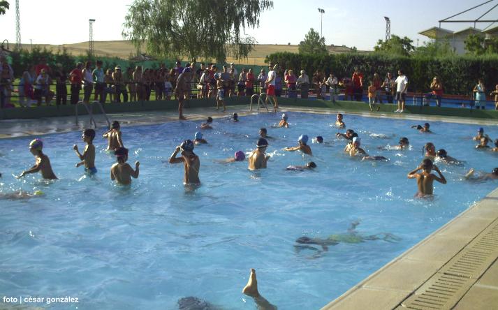 foto de los novillos